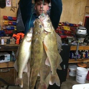 Meet your Posher, Jordan